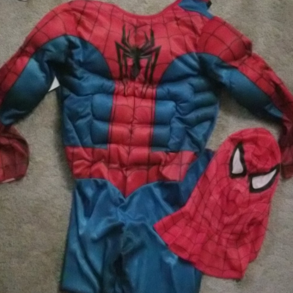 Large Spider Man